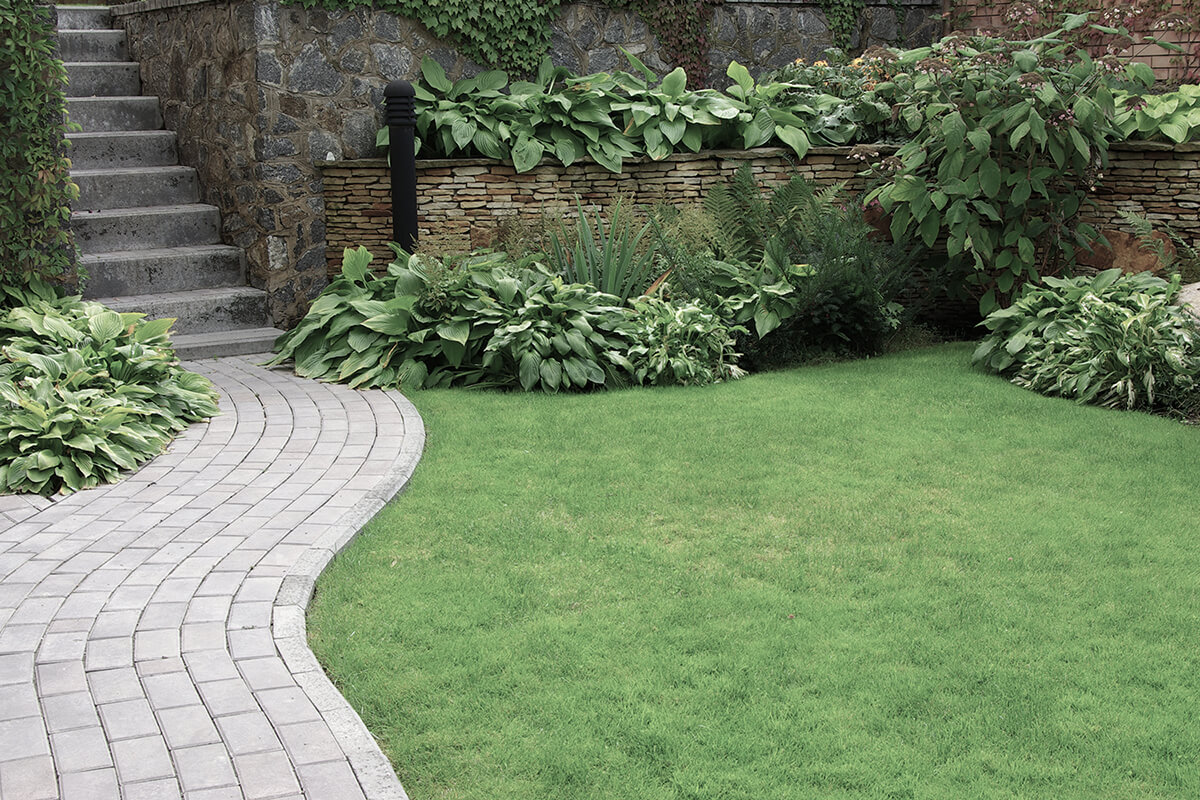 Welcome to Bucks Landscaping